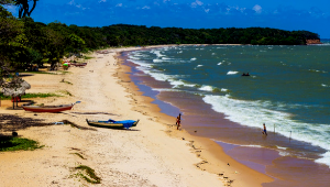 Belém com Ilha de Marajó